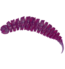 Purple (fioletowy) 6CM 6 szt. – Długość 6cm, Blister 6 szt.