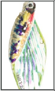 Cykada motyl nelma (cena za 1szt) – Waga 25g