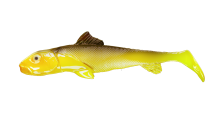 Śliz Yellow Slip 7CM BOX – Długość 7cm
