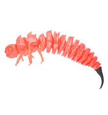 Łosoś 5CM 5 szt. – Długość 5cm, Blister 5 szt.