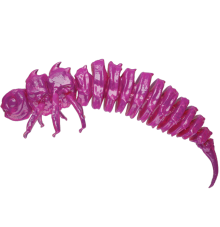 Majty Teściowej (różowy) 5CM 50 szt. – Długość 5cm, Słoik 50 szt.