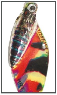 Cykada motyl cykada (cena za 1szt) – Waga 22g