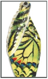 Cykada motyl paź królowej (cena za 1szt) – Waga 22g