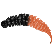 Black Łosoś (czarnołososiowy) 6CM 50 szt. – Długość 6cm, Słoik 50szt.
