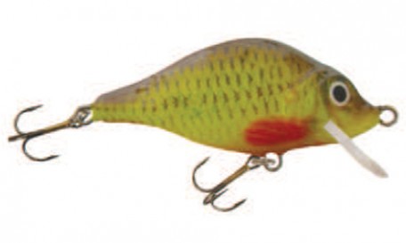 Wobler Carp floater – Wielkość 11 cm, Waga 49 g
