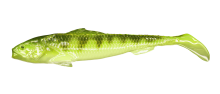 Sardynka Green PERCH 12CM BOX 20szt – Długość 12cm