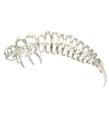 Pure Pearl (perłowy) 5CM 50 szt. – Długość 5cm, Słoik 50 szt.