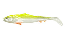Sardynka NEON 5CM BOX – Długość 5cm