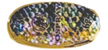 OSPRAY 30 – Wielkość 5, Waga 12g