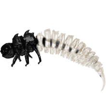 Pearl Larve(czarnoperłowy) 5CM 5 szt. – Długość 5cm, Blister 5 szt.