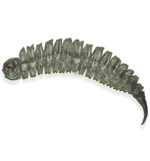 Invisible creature (transparentny z pieprzem) 6CM 6 szt. – Długość 6cm, Blister 6 szt.