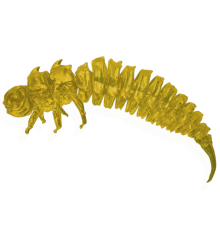 Classic Yellow ( żółty) 5CM 5 szt. – Długość 5cm, Blister 5 szt.