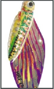 Cykada motyl megi (cena za 1szt) – Waga 22g
